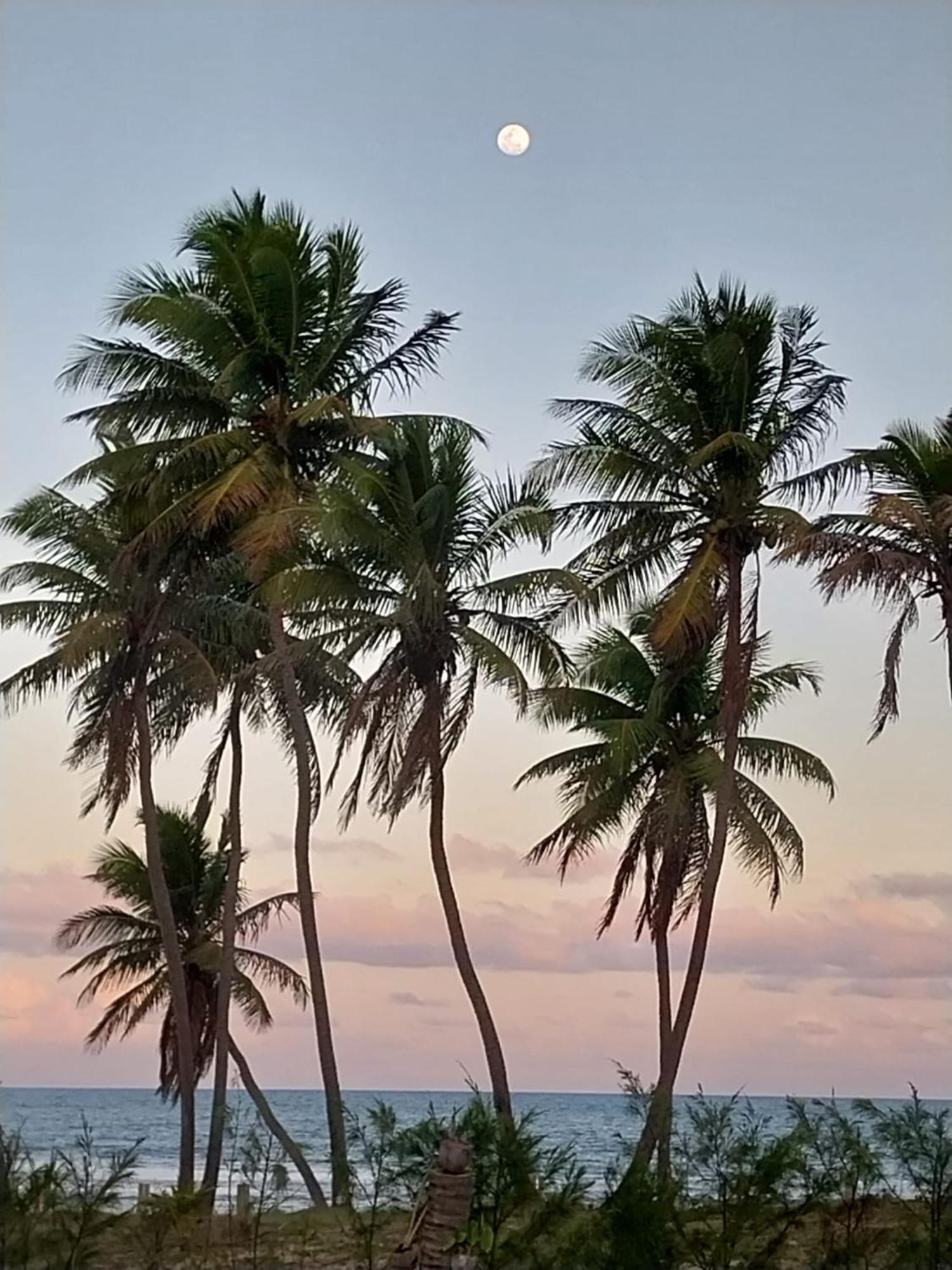 Beach House - Secured, Beach Access, Sea View, Best Location 拜肖 外观 照片